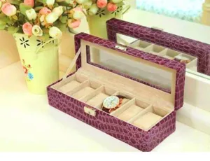 6 Slot Watch Case