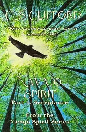 Navajo Spirit Part 1: Acceptance